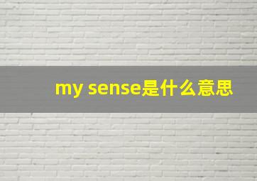 my sense是什么意思